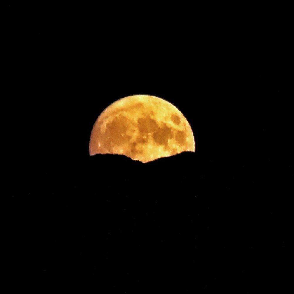 Meet your Posher, Lorna